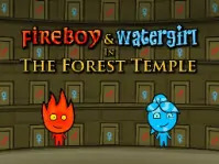 Fireboy And Watergirl: F...